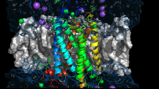 pymol_screenshot